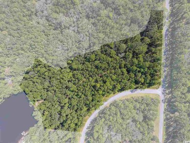 689 Ocean Lakes Loop unit Lot 133, Litchfield, SC 29585 - photo 4