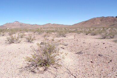N White Dr, Dolan Springs, AZ 86441 - photo 7