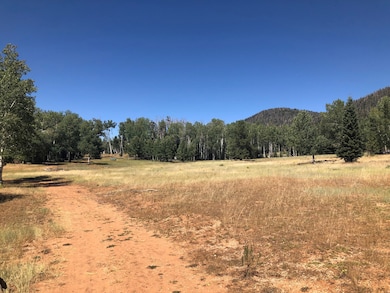 0 N Fork County Rd, Duck Creek Village, UT 84762 - photo 2