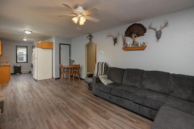 303 E 2nd St, Lyle, MN 55953 - photo 5