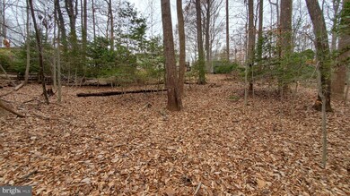 12019 Fair Hill Ln, Manassas, VA 20112 - photo 7