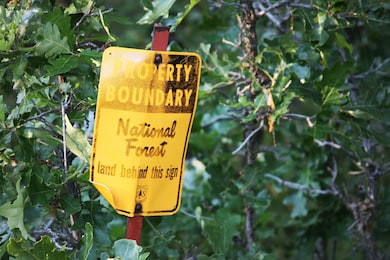 336 Middle Frk Rd, Devils Tower, WY 82714 - photo 2