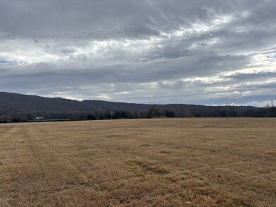 0 Greenhaw Rd unit RTC3050402, Decherd, TN 37324 - photo 4