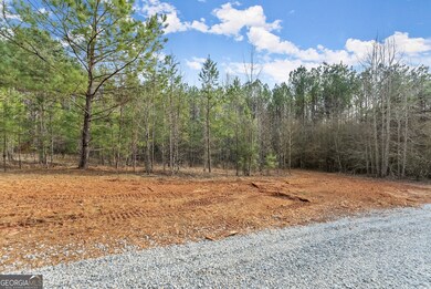 0 Freedom Ln unit 9C, Commerce, GA 30529 - photo 5