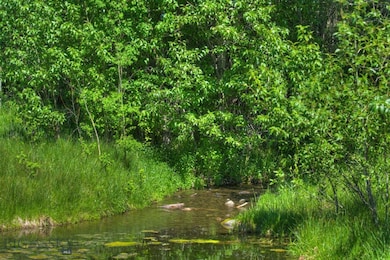 13830 (Lot A) Cottonwood Rd, Bozeman, MT 59718 - photo 6
