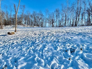 TBD57 E Burns Valley Rd, Winona, MN 55987 - photo 3