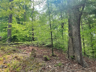 3003 Boulder Dr, Seneca, SC 29678 - photo 2