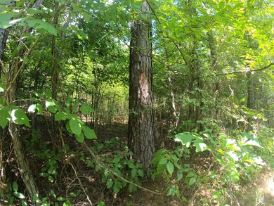 View of nature