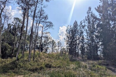 207 Ocean Park Dr, Lehigh Acres, FL 33972 - photo 4