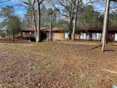 991 Shore Side Ln, Sylacauga, AL 35151 - photo 2