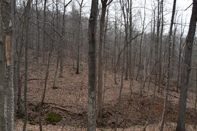 0 Hickory Falls Rd unit 920645, Blue Ridge, VA 24064 - photo 6