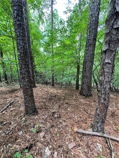 127 Creek View Dr, Seneca, SC 29678 - photo 4