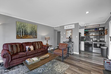 1260 Ski View Dr unit U3201, Gatlinburg, TN 37738 - photo 7