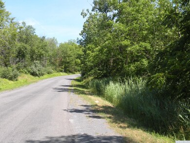 0 Adams Rd unit 144252, Coxsackie, NY 12051 - photo 6