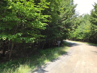 Looking up North Ridge Rd