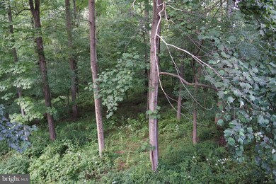 9 Stratford Garden Ct, Silver Spring, MD 20904 - photo 2