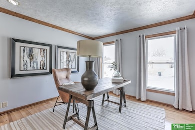 4381 S 154th St, Omaha, NE 68137 - photo 6