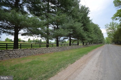 37901 Charisma Ln, Middleburg, VA 20117 - photo 4