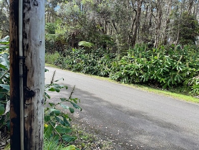 0 3rd St unit 725812, Volcano, HI 96785 - photo 6