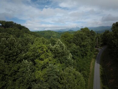 0 Tuckasegee Overlook Rd unit 26037540, Charleston, NC 28713 - photo 4