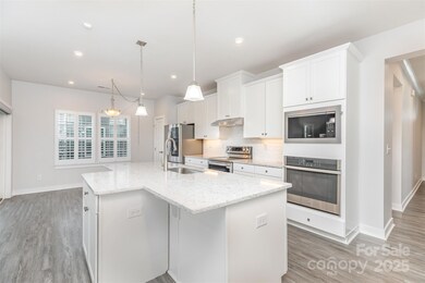 1203 Augustus Beamon Dr, Indian Trail, NC 28079 - photo 6