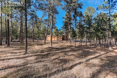 14994 Snowy Pine Point, Colorado Springs, CO 80908 - photo 7