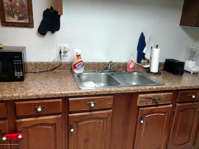 327 N Bridge St, Grand Ledge, MI 48837 - photo 6