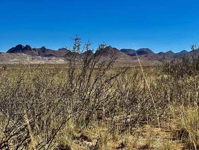 TR:9037 Highlander Ave, Terlingua, TX 79852 - photo 6