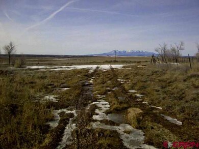 0 Highway 491 unit 664789, Cortez, CO 81321 - photo 3