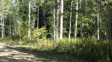 IMG_1586