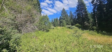 91 Wildwood Ranch Rd, Wildwood, CA 96076 - photo 6