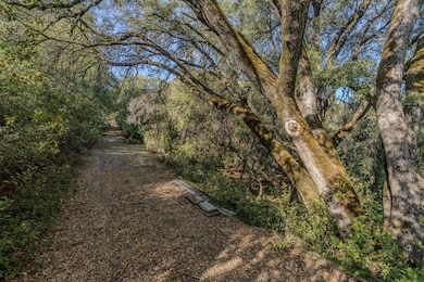 14238 Sutter Highlands Dr, Sutter Creek, CA 95685 - photo 2