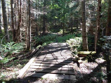 0 E Colebrook Rd, Colebrook, NH 03576 - photo 7