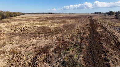 681 Main St, Knobel, AR 72435 - photo 6