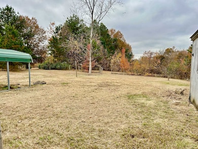 297 Joe Barfield Rd, Henning, TN 38041 - photo 3