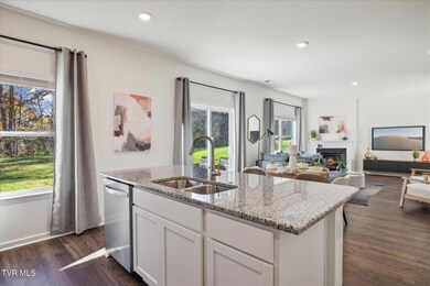 341 Alta Tree Blvd, Johnson City, TN 37604 - photo 6