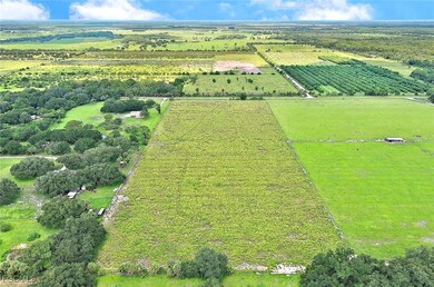 1320 Kirby Thompson Rd, Labelle, FL 33935 - photo 5