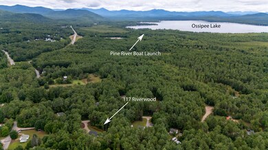 117 Riverwood Cir unit 11, Effingham, NH 03882 - photo 4