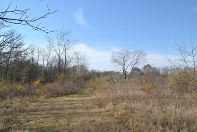 2 Acres Mound View Rd, Middleton, WI 53562 - photo 2