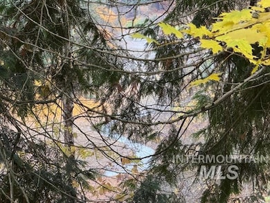 View of undeveloped land