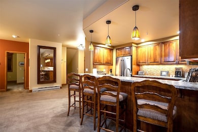 2155 Ski Time Square Dr unit 326, Steamboat Springs, CO 80487 - photo 6