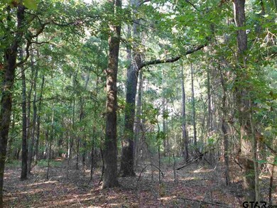 14670 Jade Forest Trail, Tyler, TX 75707 - photo 4