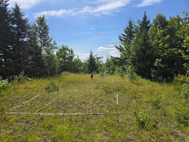 L 5 Ackley Pond Rd, Mount Chase, ME 04765 - photo 4