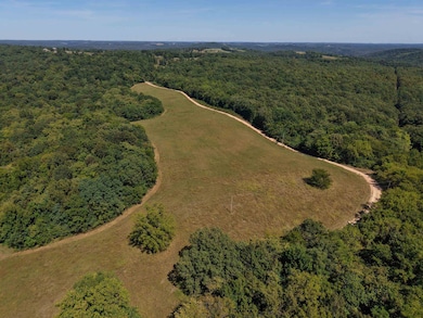 1168 Love Hollow Rd, Mount Pleasant, AR 72561 - photo 2