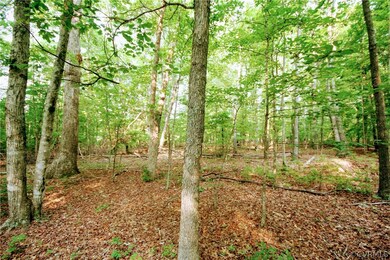 0 Stubbs Bridge Rd unit 2125675, Mineral, VA 23117 - photo 7