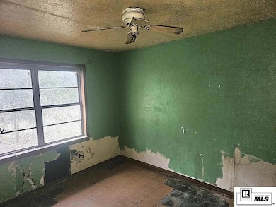 1505 Perry Ave, Bastrop, LA 71220 - photo 4