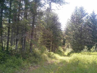 xx Dry Creek Rd, Chewelah, WA 99109 - photo 7