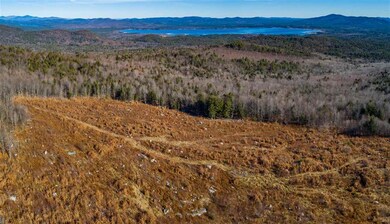 85 Knox Mountain Rd unit 1, Ossipee, NH 03814 - photo 4