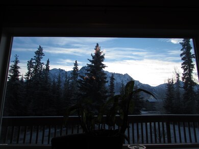 Winter View