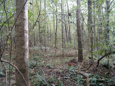 5757 Moore Creek Rd, Powhatan, VA 23139 - photo 4